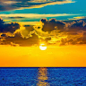 Meet your Posher, Tasha